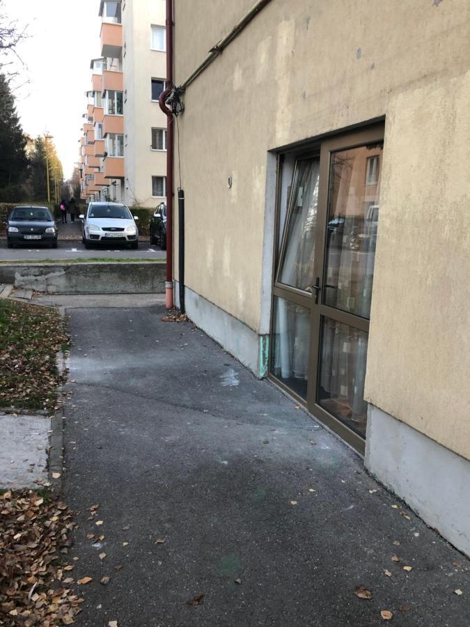 Gaby Studio Brașov Exterior foto